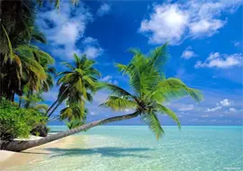 islands